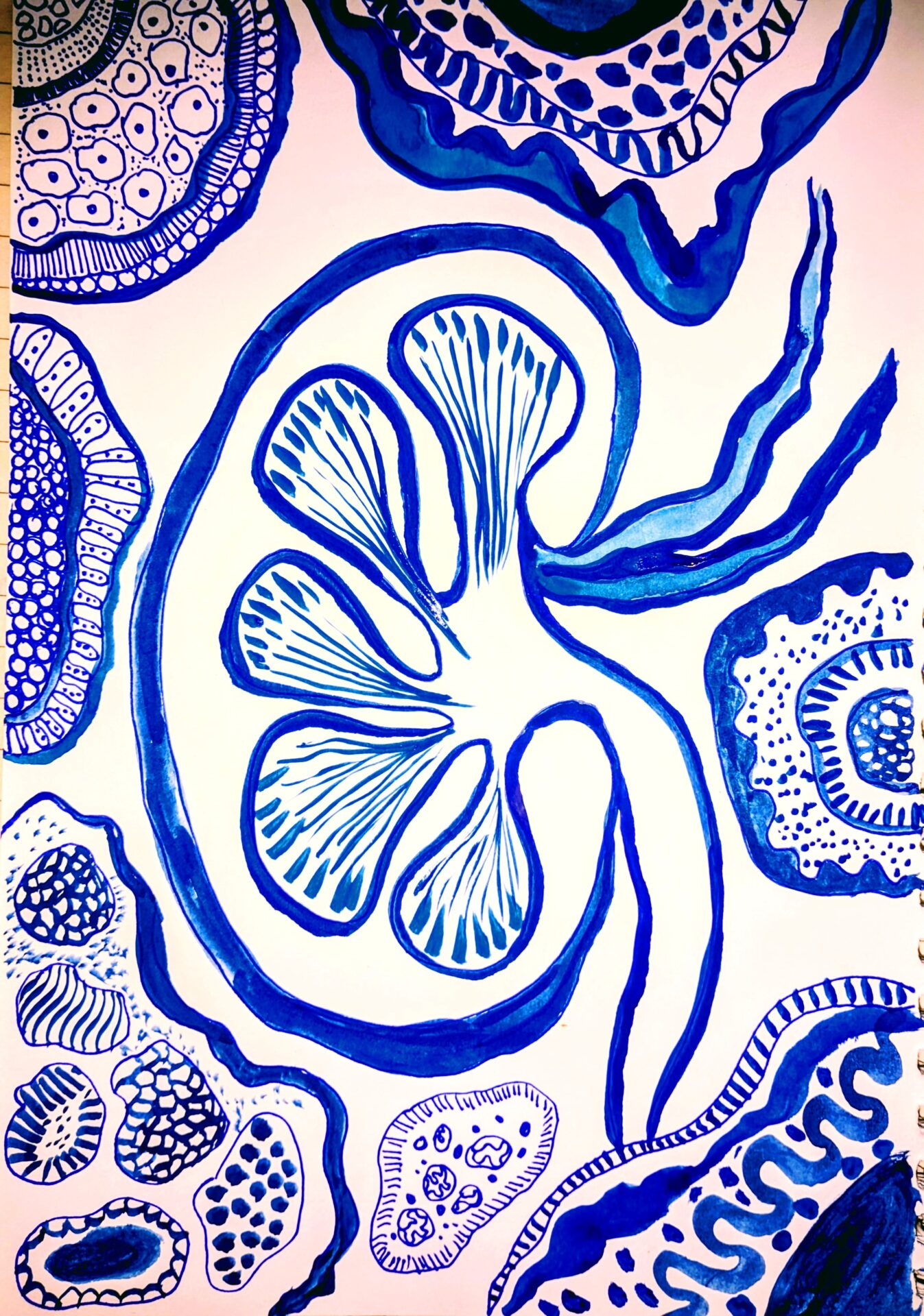 Blue Filter