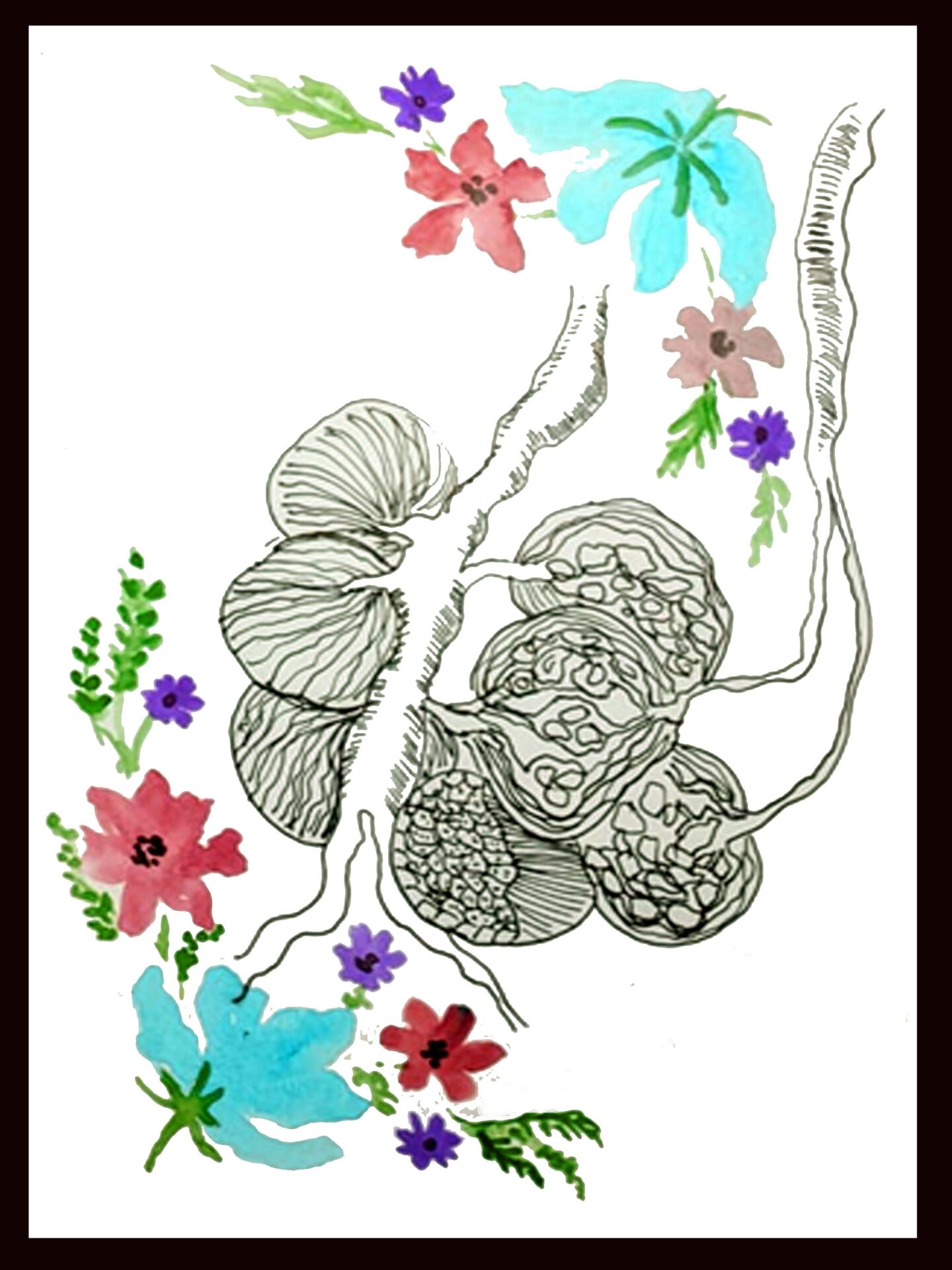 Nephron symphony