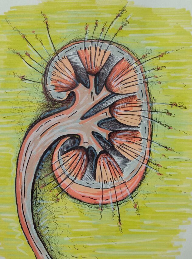 Vital Flow